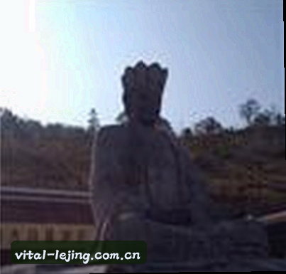 刘洋