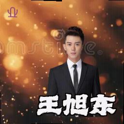 王旭东